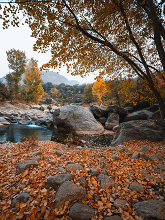 Ultimate Kashmir Tour Package Nature & Heritage