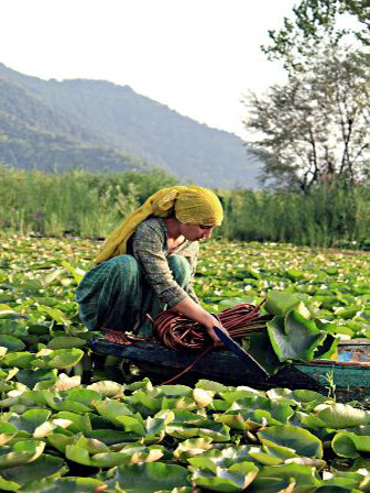Explore Kashmir Tour Package