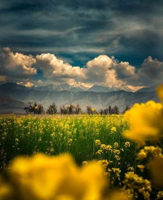 Sonmarg Kashmir: Your Gateway to Adventure, Romance & Serenity